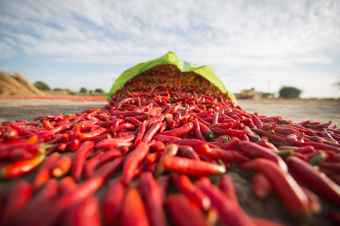 slider image slider_item_JGVagH